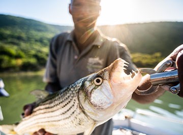 Jozini Tiger Fishing